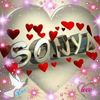 sonyhq22