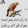 user6937519180825