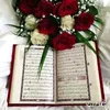 user8573817865911