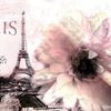icvox_