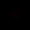no4pcito_raro