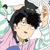 kittywilly8996