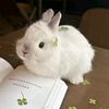 keily_16095m