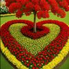 user01625232536imo