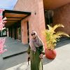 intan.xmarksproperty