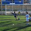 cachorros.balonpi