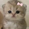 monse_ycopitoystitch