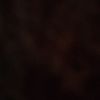 user5086323078267