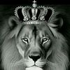 userenrique86