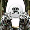 ati.malik42