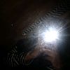 ayuk.fitria8