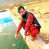 wali.khan26035