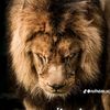 emad.omda751
