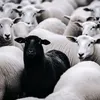 buomxanhlaluot1