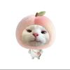 auliyaaz_38