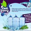 cool.berry.water