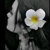 kathgolap_6936