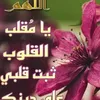 user39429812220993