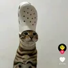animefan12345679