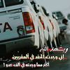 user57036161108174