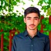 malikabdullahawan2237