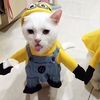 nrngoaoaooa