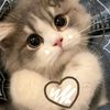 hellow_814