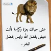user67980757881741