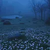uma.snchez6