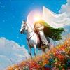 elmahdy.mohamed5