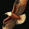 user97561315800077