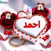 user4932301495868