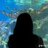 qilz_130613
