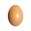 eggvsukgov