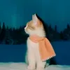 naoisak