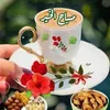rachid.sami52