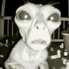 crexdzz_55