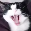 itznoteden1