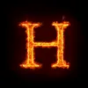haydenjunaid