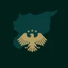 mohamadhejazi707
