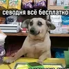 account_not_founded29