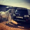 ibrahim03367