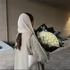 butterfly.fight00