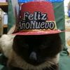 niko_miu_