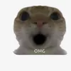 utleotle15