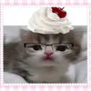 sofi_kr0