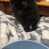 tubleing