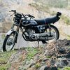 wolf...50