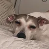 Les Amoureux à Fossettes ❤️
