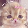 littfa